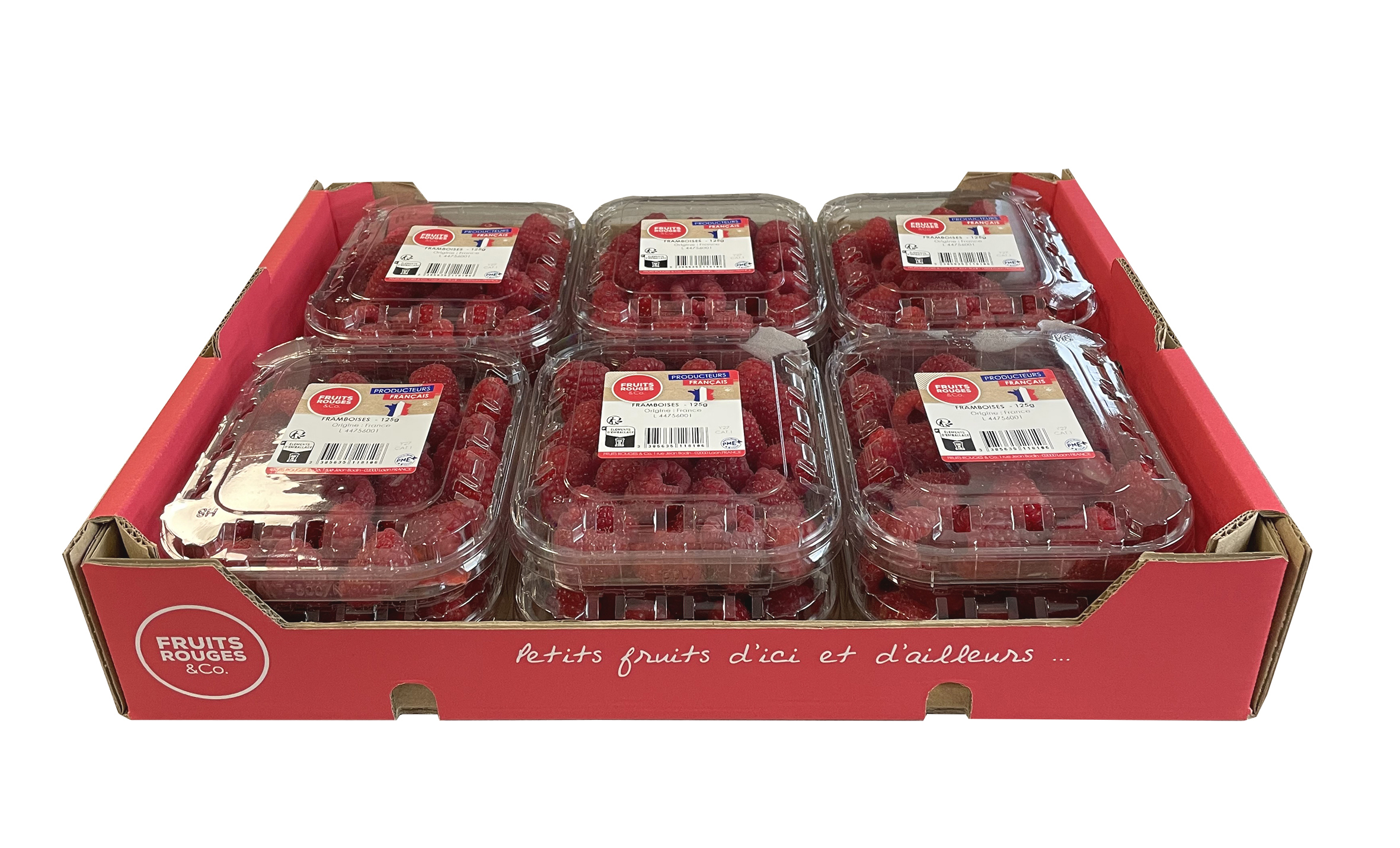 Colis de framboises de France, 12 barquettes de 125 g