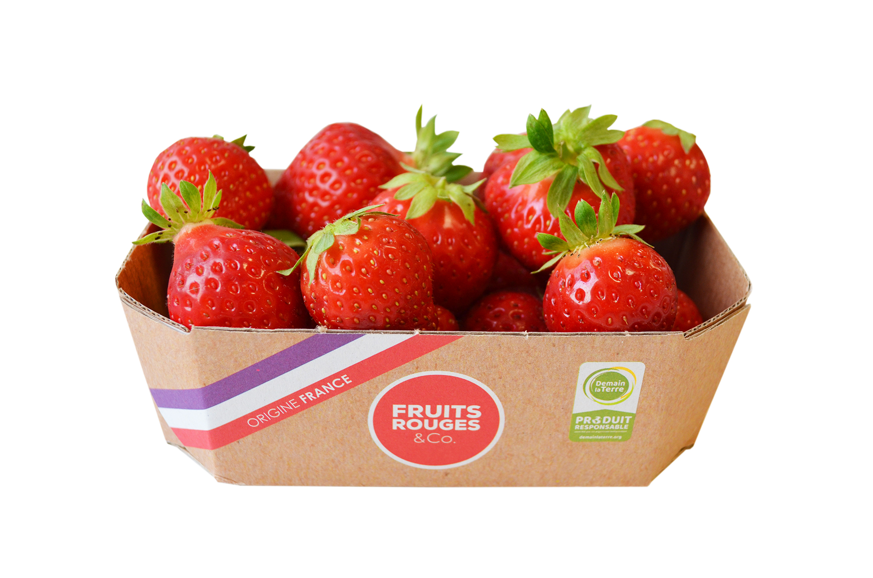 Barquette carton de fraises de France 250 g