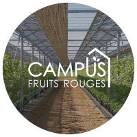 FRUITS ROUGES & Co. en 2024
