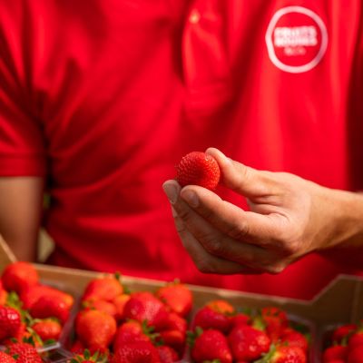 La fraise
