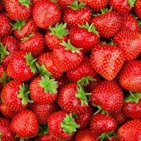 La fraise