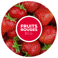 FRUITS ROUGES & Co. en 2015