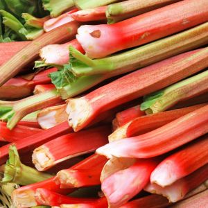 Tiges de rhubarbe