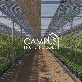 Serres du CAMPUS Fruits Rouges