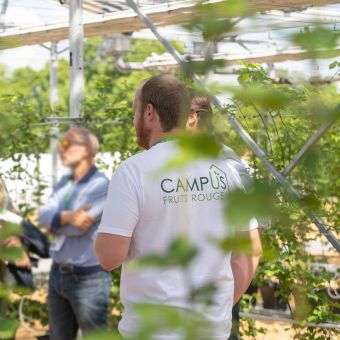Équipe du CAMPUS Fruits Rouges sous les abris
